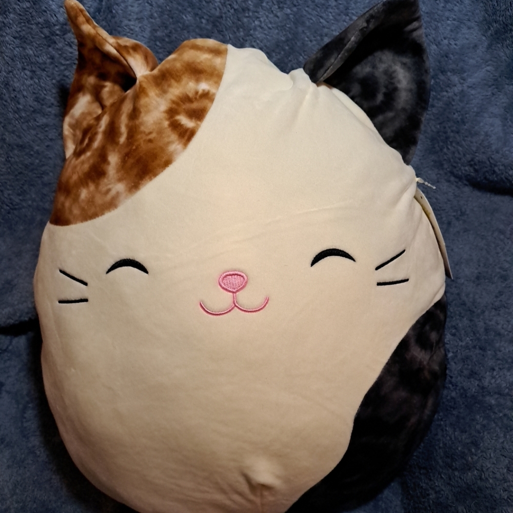 BNWT 16" Cameron the Cam Squishmallow